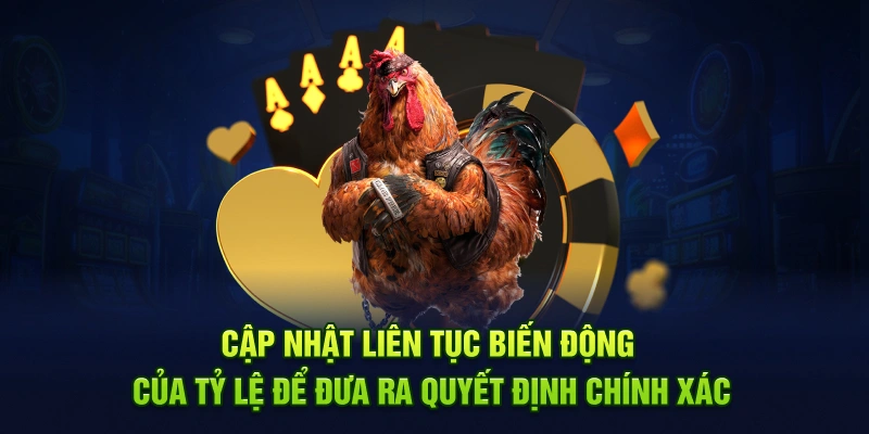 Cập nhật liên tục biến động của tỷ lệ để đưa ra quyết định chính xác
