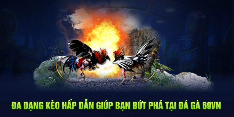 Đa dạng kèo hấp dẫn giúp bạn bứt phá tại đá gà 69VN