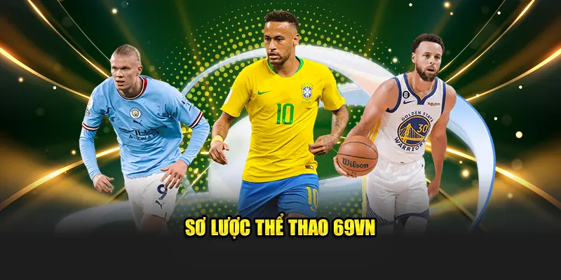 Sơ lược thể thao 69VN